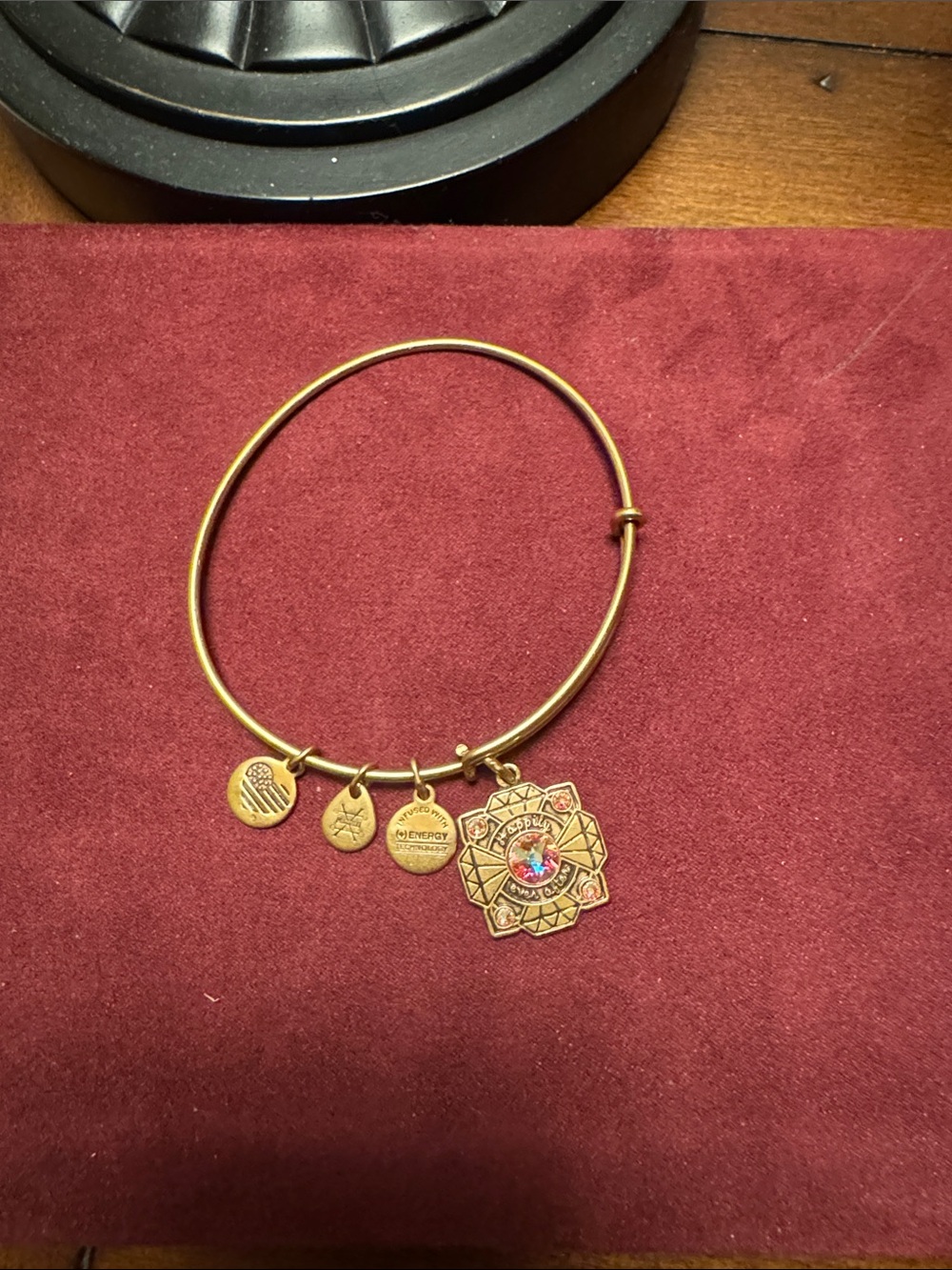 Alex and Ani Gold Bride Charm Bangle on Rose Background